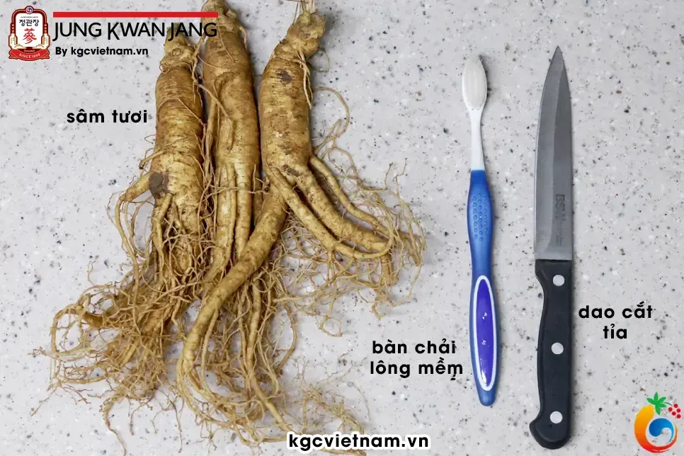 Chuẩn bị dụng cụ và nhân sâm tươi để chuẩn bị rửa | KGC Jung Kwan Jang Việt Nam | www.kgcvietnam.vn