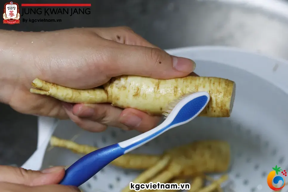 Dùng bàn chải lông mềm chà sạch đất cát bám trên thân sau khi cắt tỉa