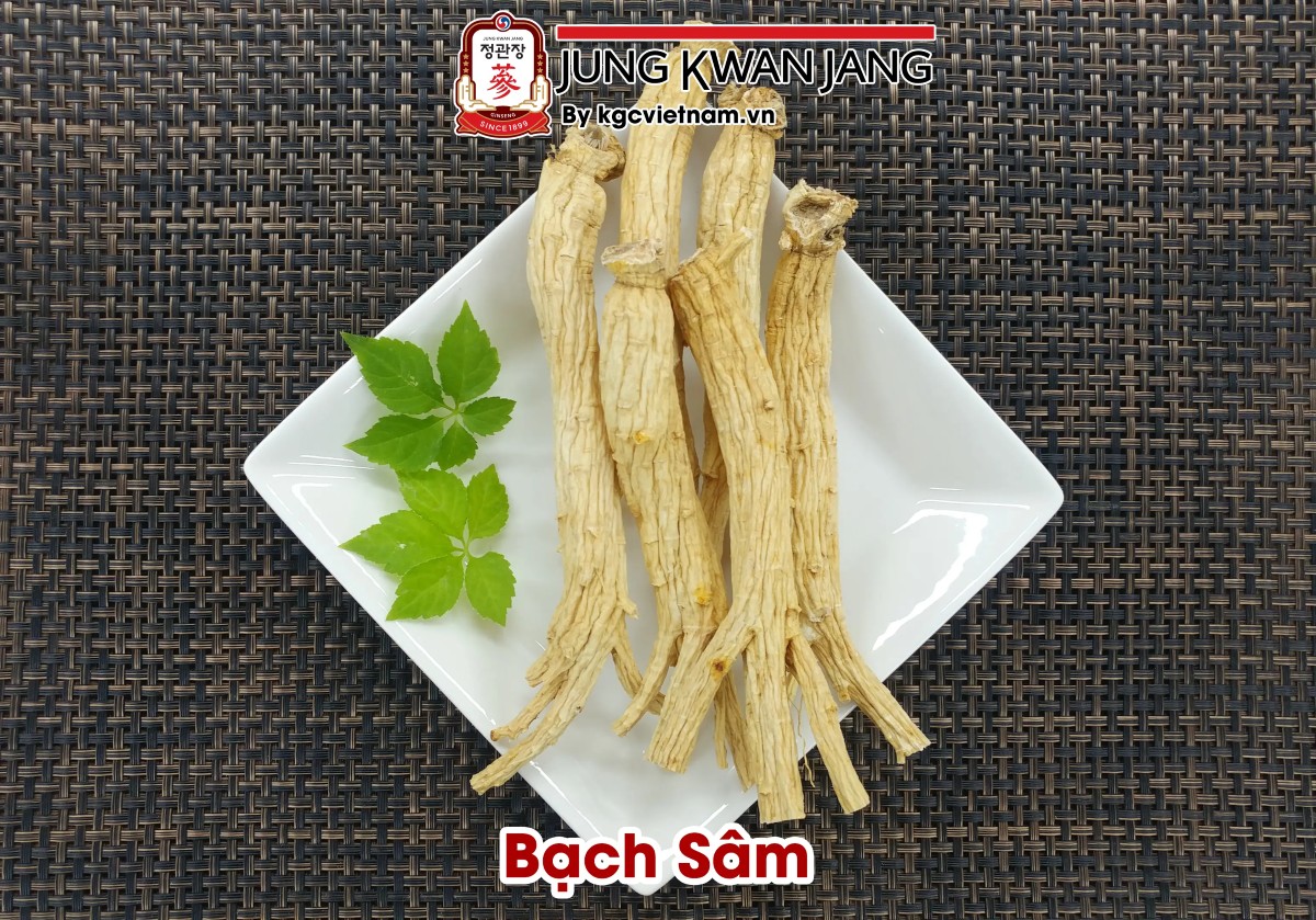 Bạch sâm củ khô | KGC Jung Kwan Jang Việt Nam | www.kgcvietnam.vn