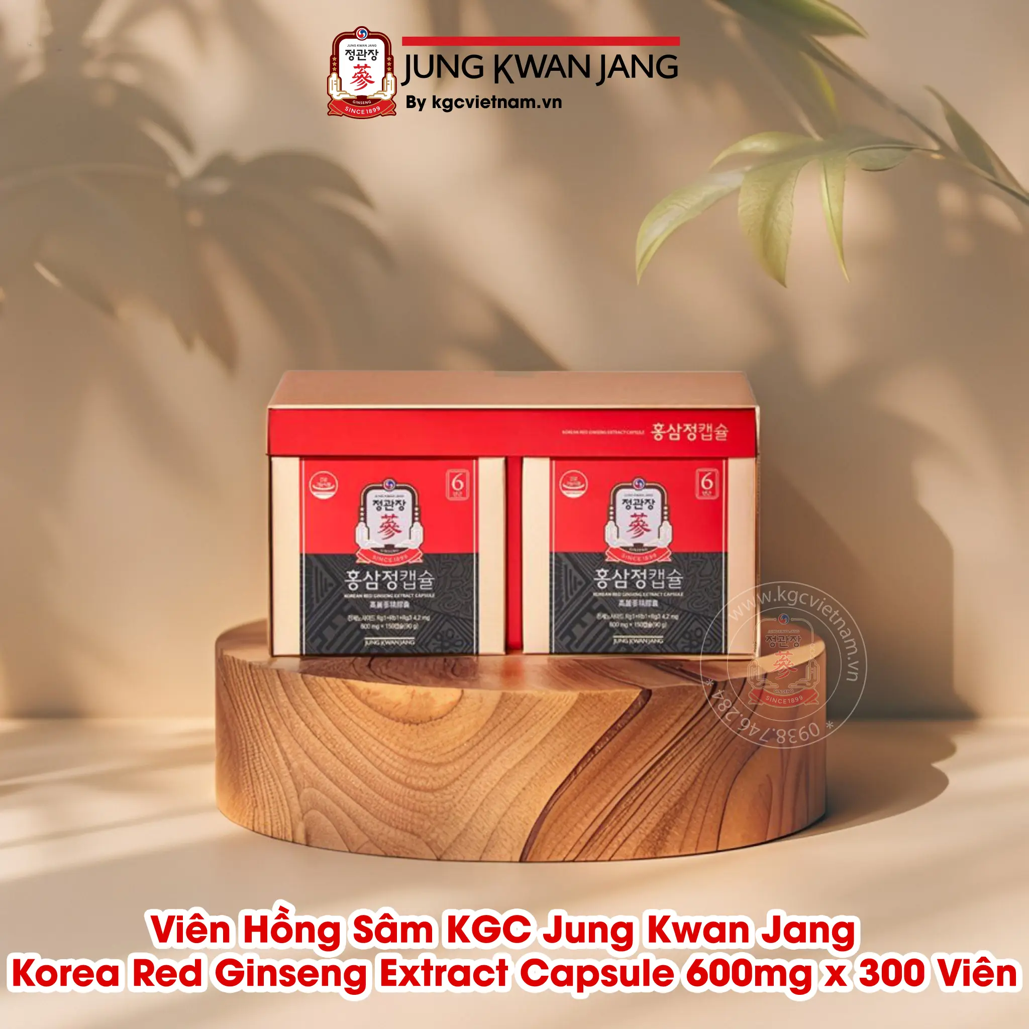 Hình Chi Tiết Bên Trong Hộp Viên Hồng Sâm KGC Jung Kwan Jang   Korea Red Ginseng Extract Capsule 600mg x 300 Viên