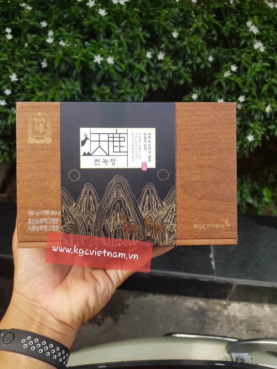 Hình ảnh chi tiết cao hồng sâm nhung hươu KGC - Cheong Kwan Jang 180g x 2 lọ