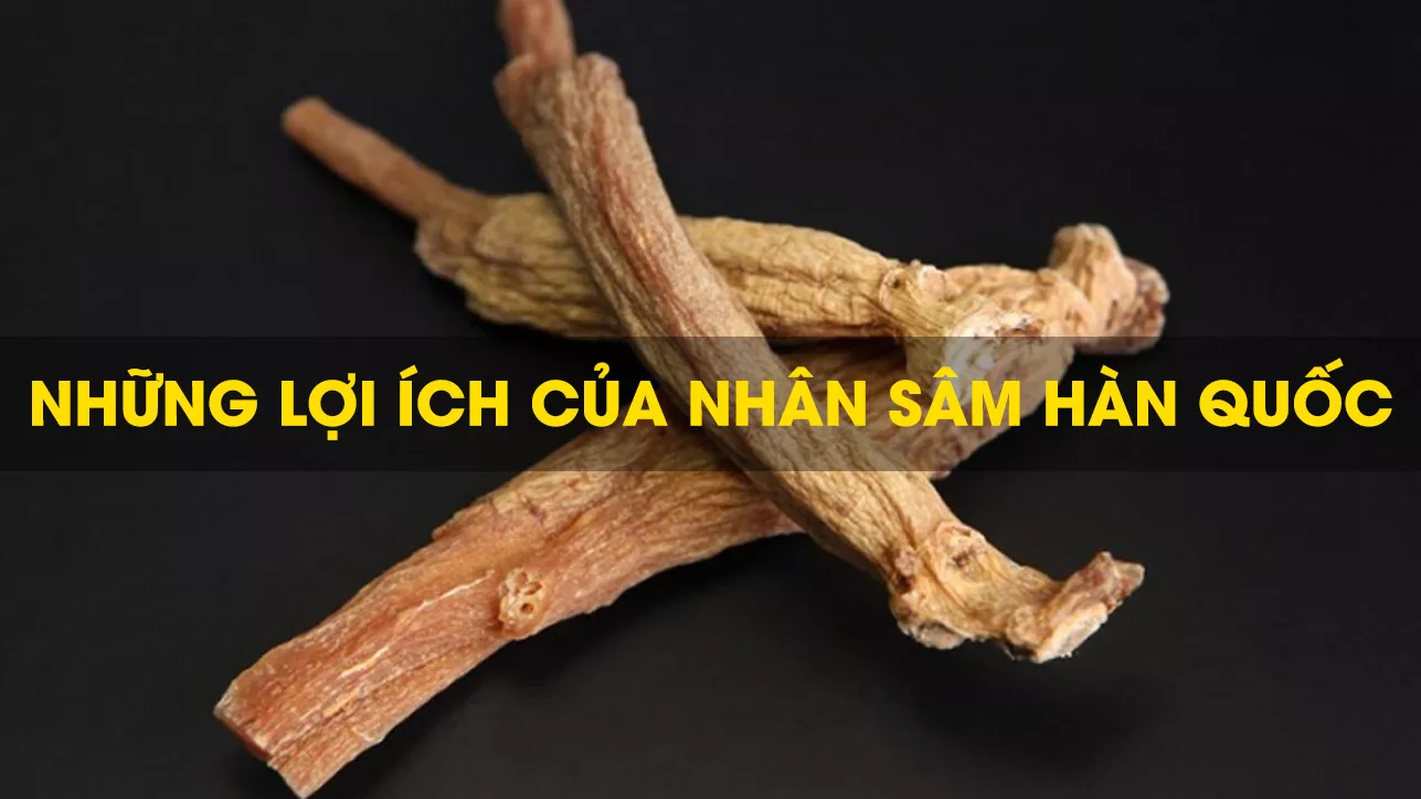 Những Lợi Ích Của Nhân Sâm Hàn Quốc