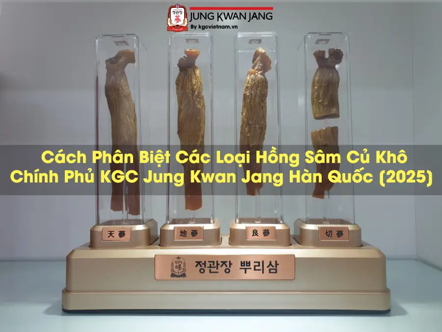 Cách Phân Biệt Các Loại Hồng Sâm Củ Khô  Chính Phủ KGC Jung Kwan Jang Hàn Quốc [2025]