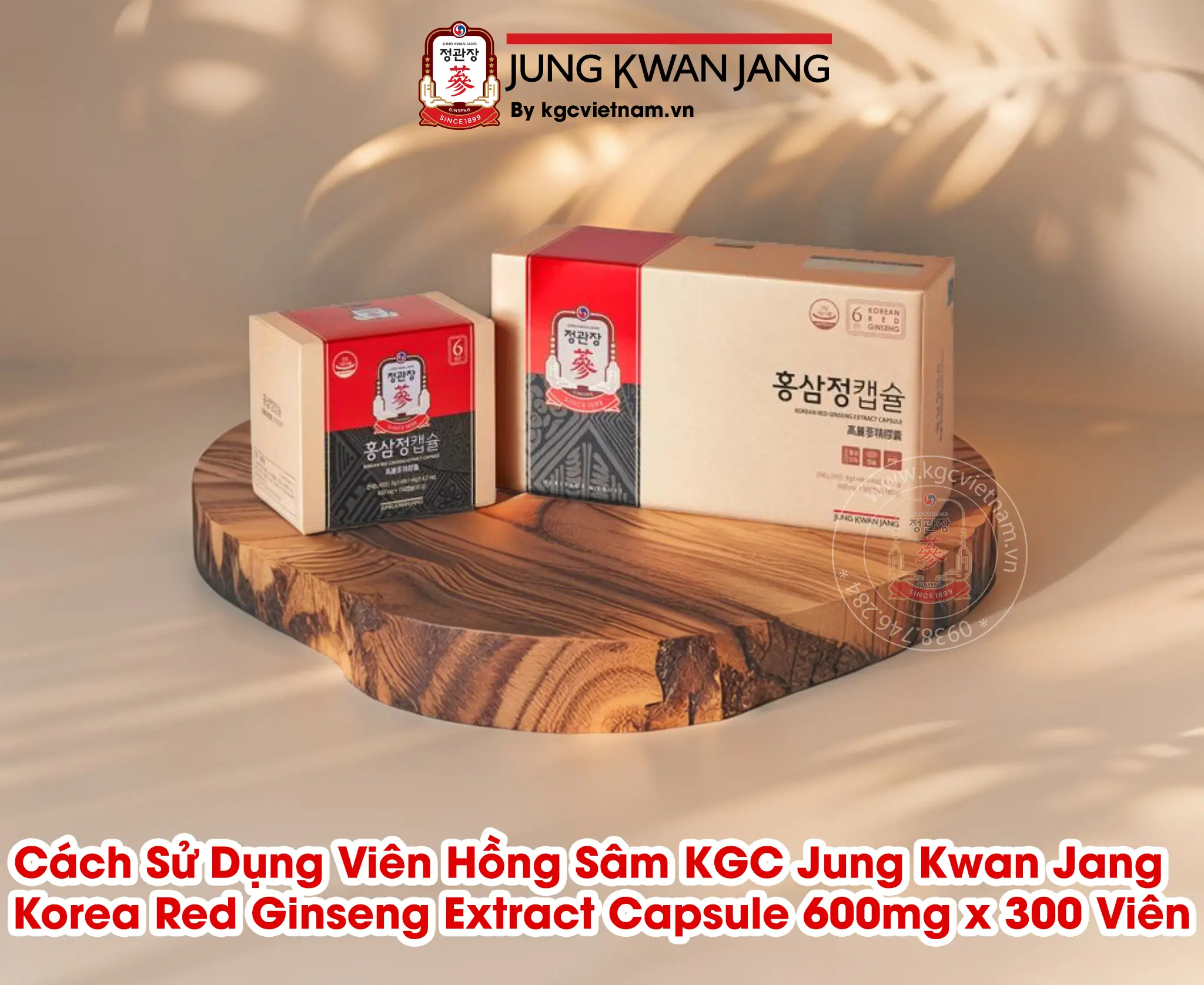 Cách Sử Dụng Viên Hồng Sâm KGC Jung Kwan Jang – Korea Red Ginseng Extract Capsule 600mg x 300 Viên Cách Sử Dụng Viên Hồng Sâm KGC Jung Kwan Jang – Korea Red Ginseng Extract Capsule 600mg x 300 Viên