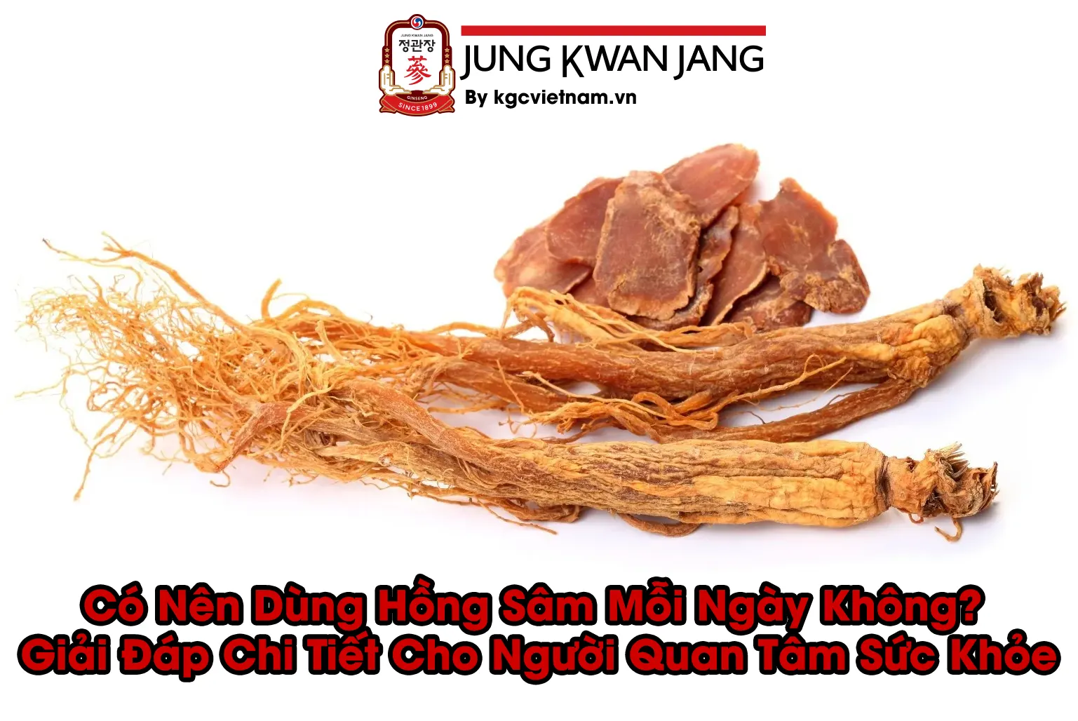 Có Nên Dùng Hồng Sâm Mỗi Ngày Không? Giải Đáp Chi Tiết Cho Người Quan Tâm Sức Khỏe Có Nên Dùng Hồng Sâm Mỗi Ngày Không? Giải Đáp Chi Tiết Cho Người Quan Tâm Sức Khỏe