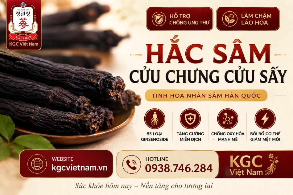 Hắc Sâm Cửu Chưng Cửu Sấy – Bí Quyết Tăng Cường Miễn Dịch, Hỗ Trợ Chống Lão Hóa