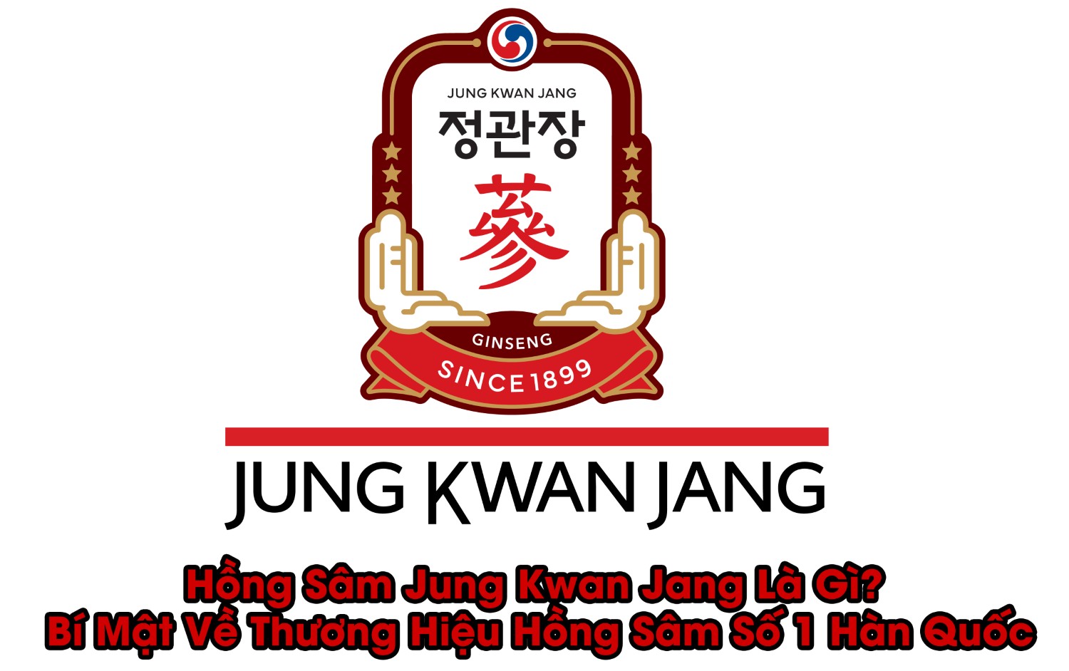 Hồng Sâm Jung Kwan Jang Là Gì? Bí Mật Về Thương Hiệu Hồng Sâm Số 1 Hàn Quốc Hồng Sâm Jung Kwan Jang Là Gì? Bí Mật Về Thương Hiệu Hồng Sâm Số 1 Hàn Quốc