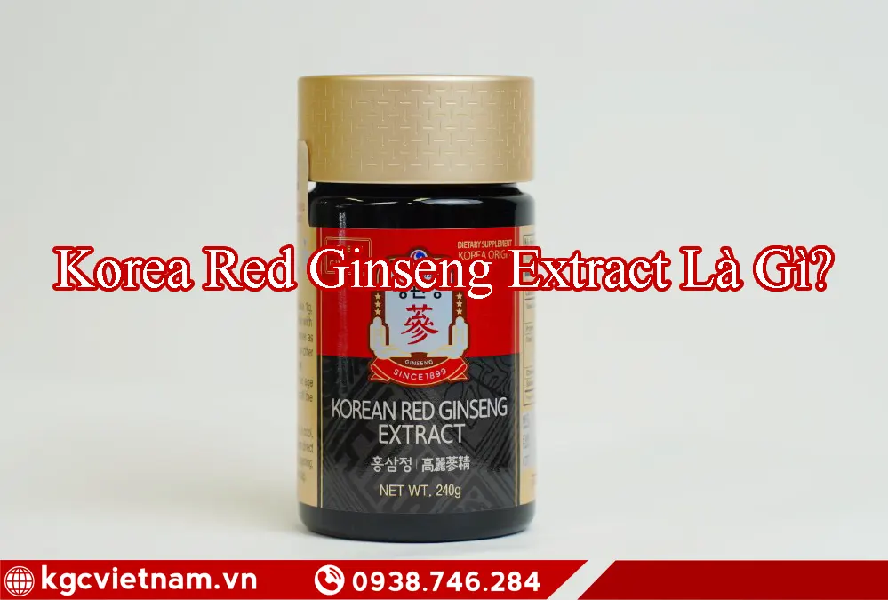 Korea Red Ginseng Extract Là Gì?