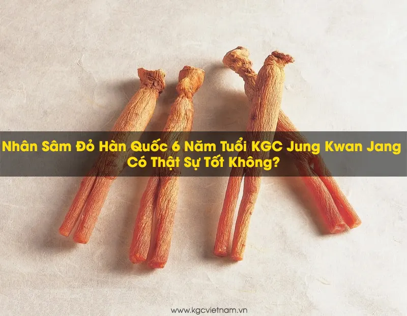 Nhân Sâm Đỏ Hàn Quốc 6 Năm Tuổi KGC Jung Kwan Jang Có Thật Sự Tốt Không? | Kgcvietnam.vn