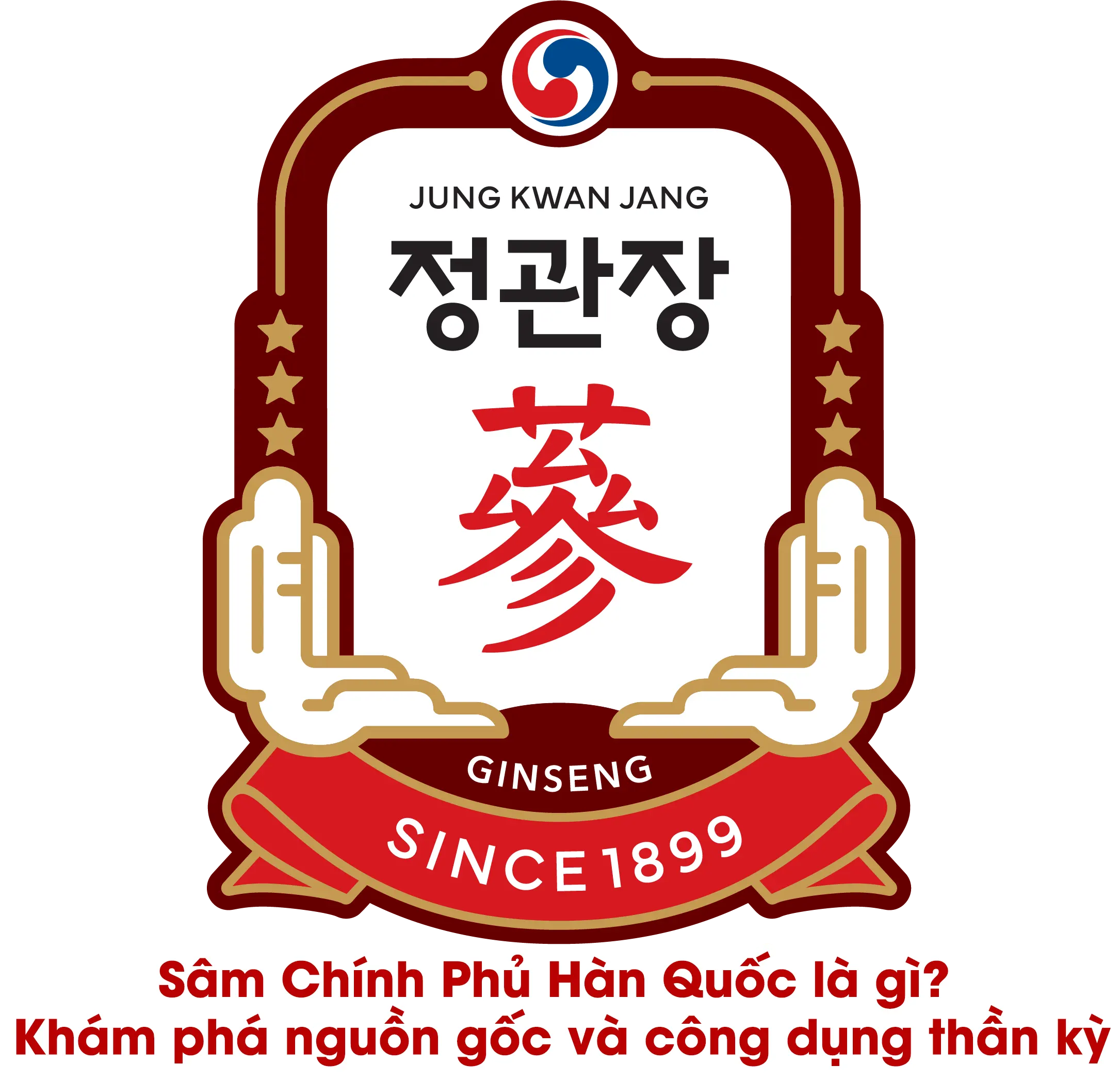 Sâm Chính Phủ Hàn Quốc là gì? Khám phá nguồn gốc và công dụng thần kỳ Sâm Chính Phủ Hàn Quốc là gì? Khám phá nguồn gốc và công dụng thần kỳ