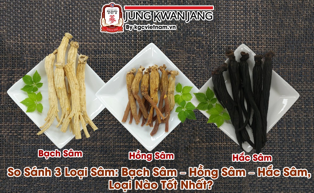 So Sánh 3 Loại Sâm: Bạch Sâm – Hồng Sâm – Hắc Sâm, Loại Nào Tốt Nhất? So Sánh 3 Loại Sâm: Bạch Sâm – Hồng Sâm – Hắc Sâm, Loại Nào Tốt Nhất?