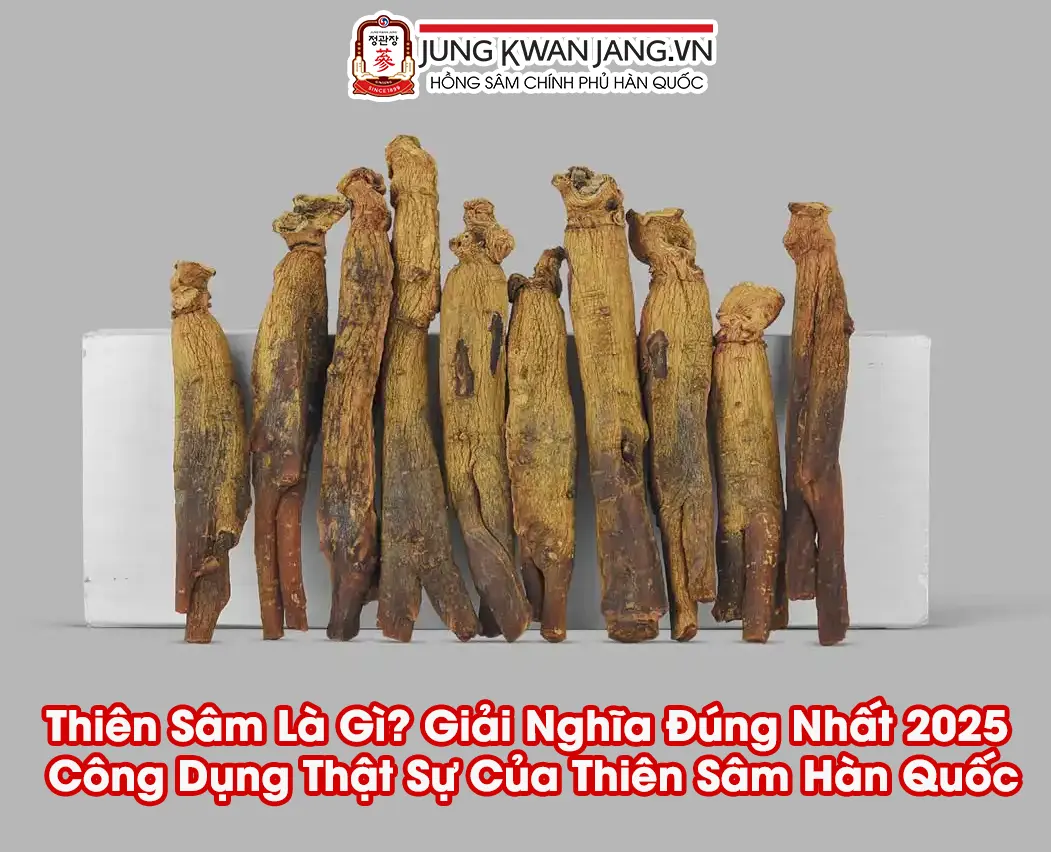 Thiên Sâm Là Gì? Giải Nghĩa Đúng Nhất 2025 & Công Dụng Thật Sự Của Thiên Sâm Hàn Quốc