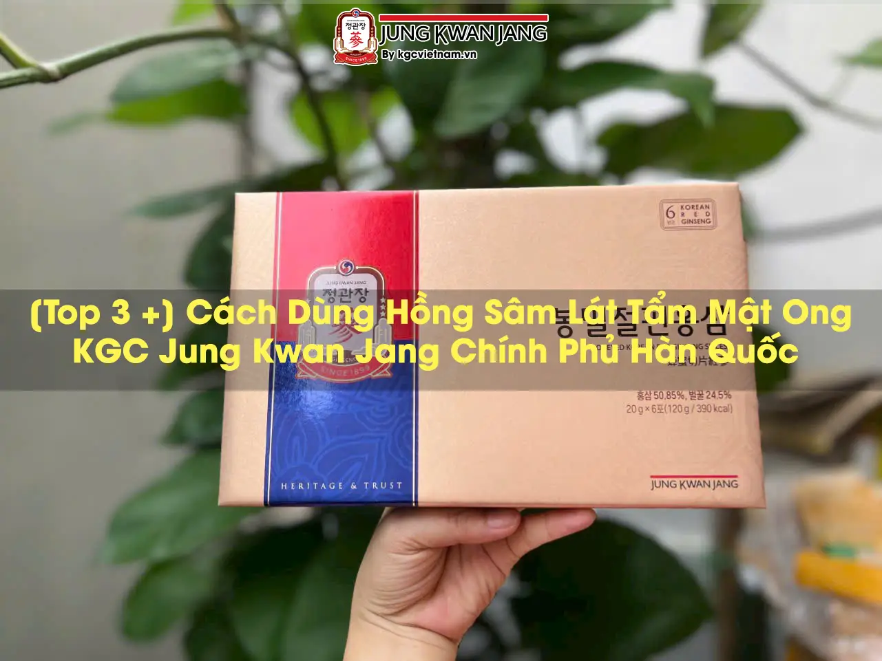 [Top 3 +] Cách Dùng Hồng Sâm Lát Tẩm Mật Ong KGC Jung Kwan Jang Chính Phủ Hàn Quốc
