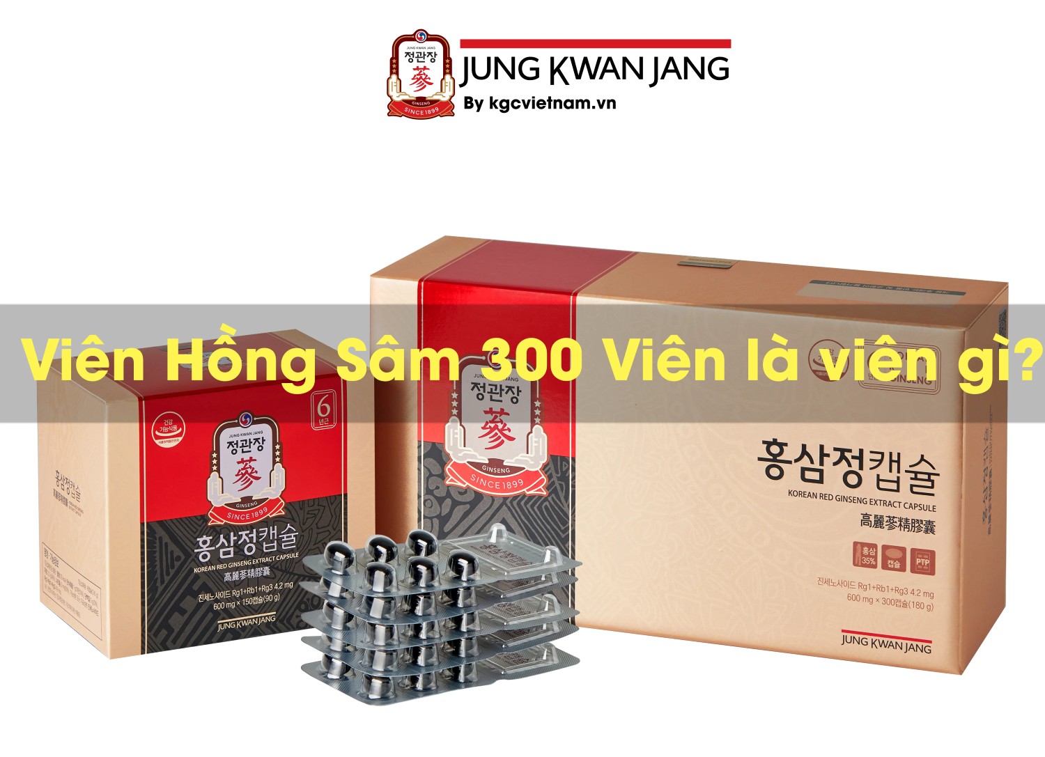 Viên Hồng Sâm 300 Viên là viên gì? Viên Hồng Sâm 300 Viên là viên gì?