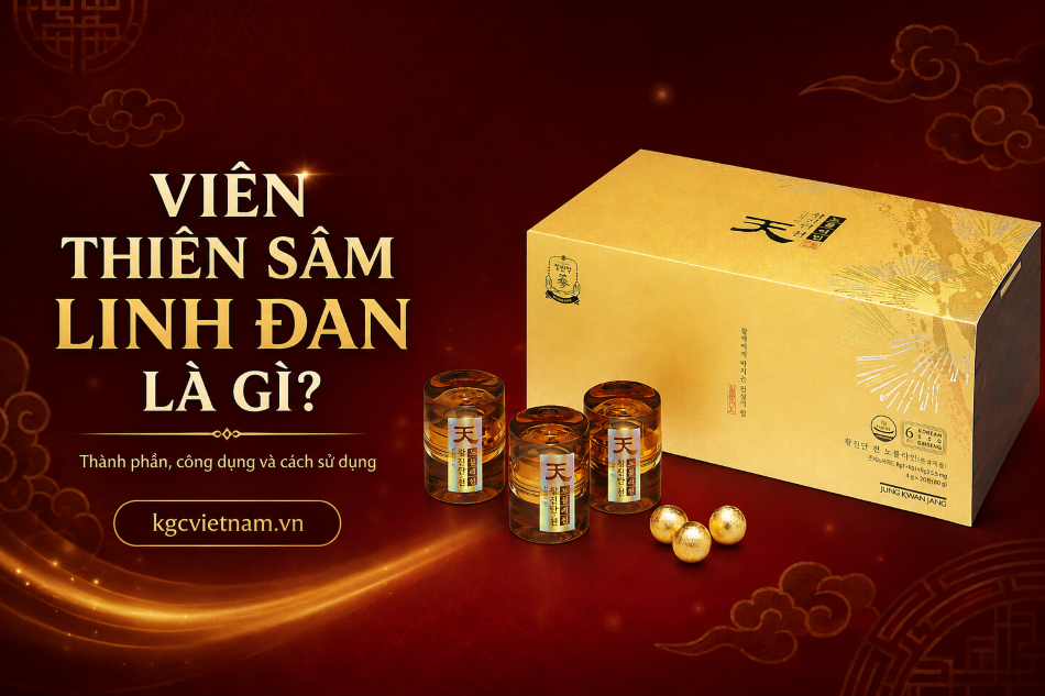 Viên Thiên Sâm Linh Đan là gì? Thành phần, công dụng và cách sử dụng