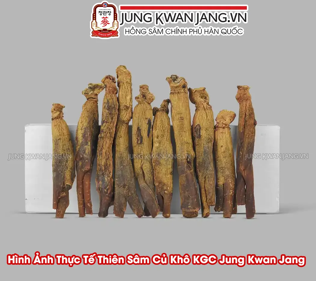 Củ Thiên Sâm cao cấp Hàn Quốc dáng đẹp, nhiều saponin