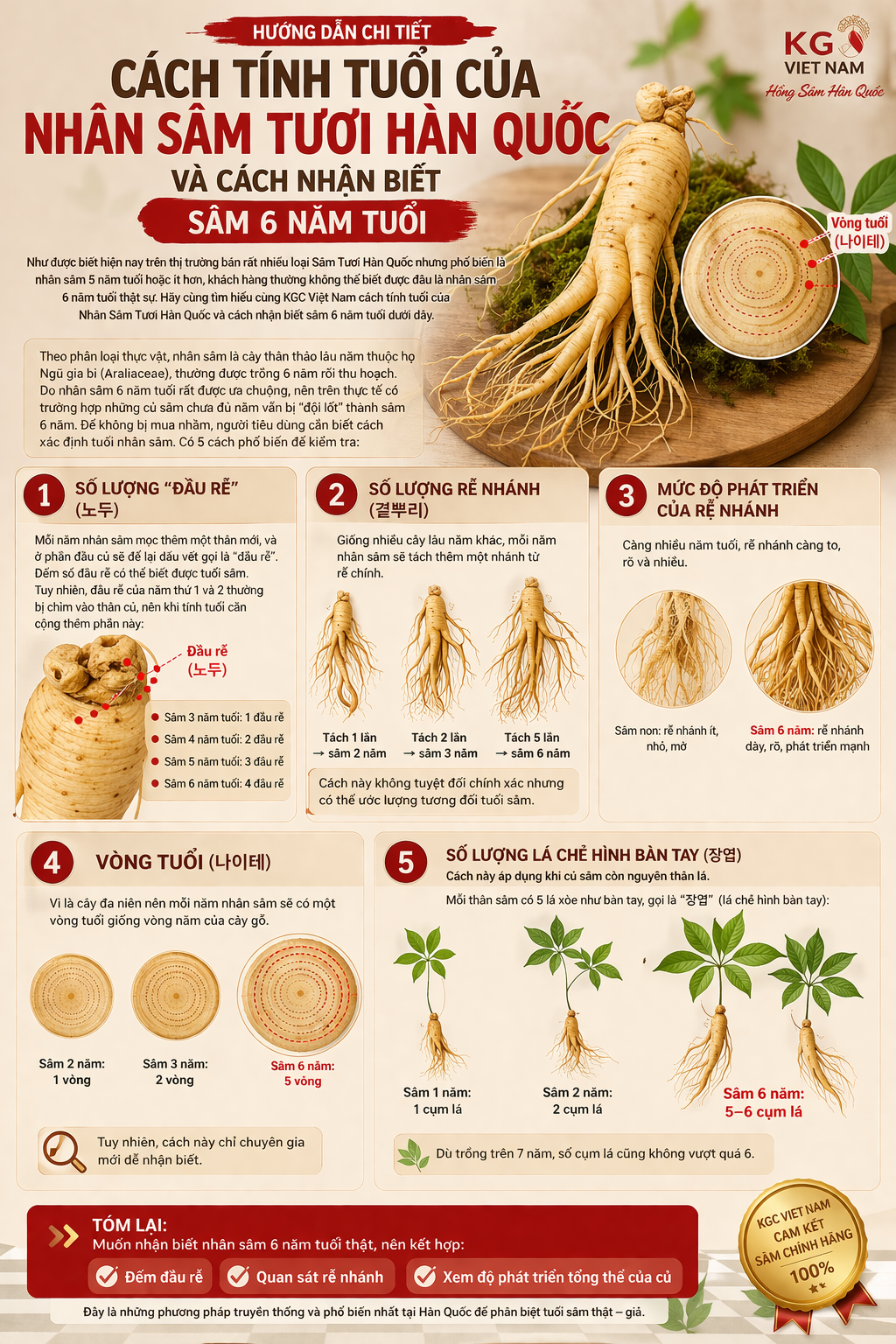 cách nhận biết tuổi của nhân sâm hàn quốc