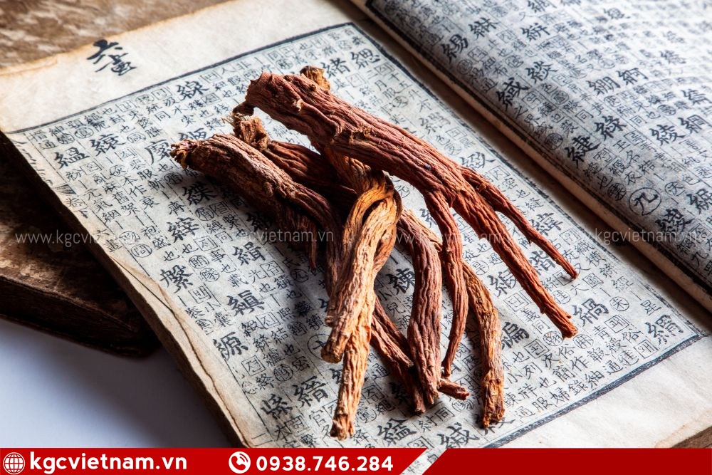 Người hay bị nóng trong tìm hiểu việc sử dụng hồng sâm an toàn