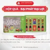 Hộp quà tặng hồng sâm cao cấp KGC Đại Phát Đại Lợi | kgcvietnam.vn