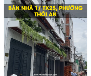 Bán Nhà Mới Xây 1/ Trục Đường TX25 Phường Thới An TP.HCM