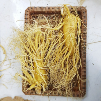 Sâm tươi Hàn Quốc loại 2 củ 1 kg