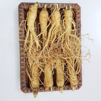 Sâm tươi Hàn Quốc loại 8 củ 1 kg