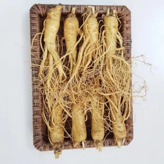 Sâm tươi Hàn Quốc loại 8 củ 1 kg