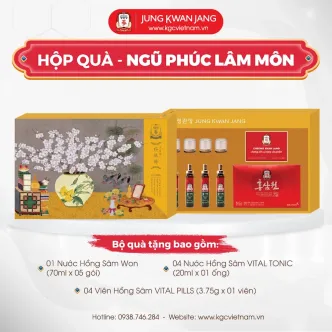 Hộp quà tặng hồng sâm cao cấp KGC Ngũ Phúc Lâm Môn | kgcvietnam.vn