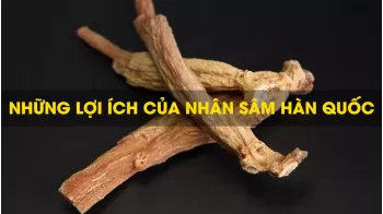 Những Lợi Ích Của Nhân Sâm Hàn Quốc