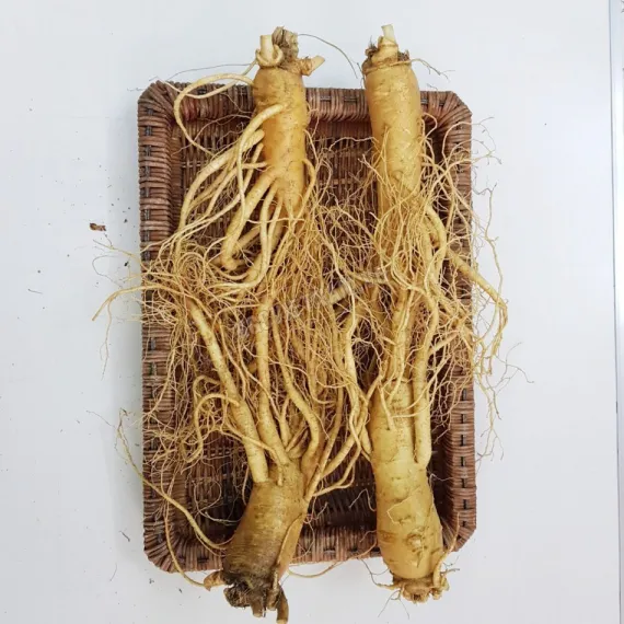 Sâm tươi Hàn Quốc loại 4 củ 1 kg