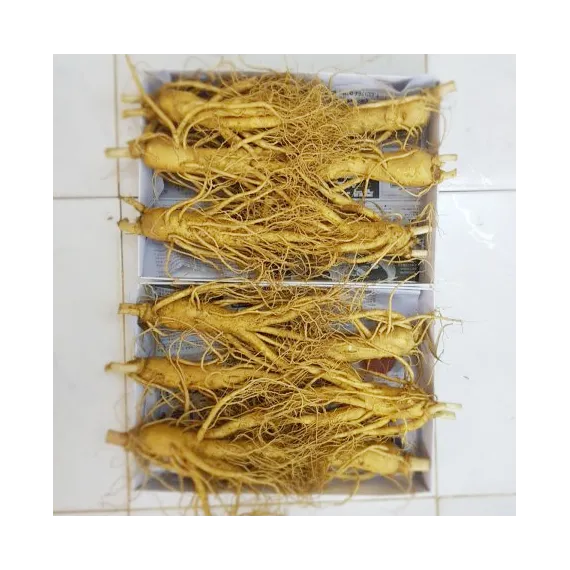 Sâm tươi Hàn Quốc loại 6 củ 1 kg