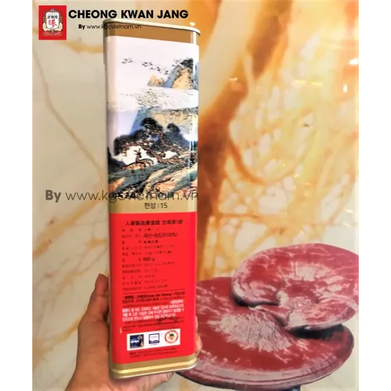Thiên sâm củ khô KGC Jung Kwan Jang 600g số 15 | kgcvietnam.vn