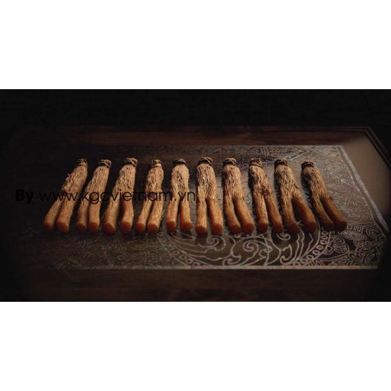 Thiên sâm củ khô KGC Jung Kwan Jang HEAVEN ROOTS 150g số 20 (hộp 7 củ)