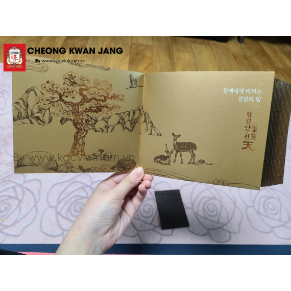 Viên Thiên Sâm Linh Đan KGC - Jung Kwan Jang Hwang Jin Đan 4g x 20 viên | kgcvietnam.vn