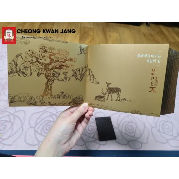 Viên Thiên Sâm Linh Đan KGC - Jung Kwan Jang Hwang Jin Đan 4g x 20 viên | kgcvietnam.vn