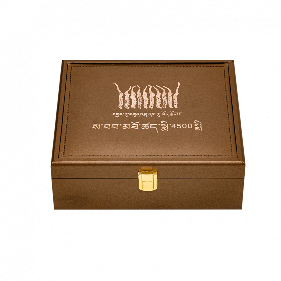 Đông Trùng Thiên Nhiên Tây Tạng Na Khúc VIP 10g Size 16