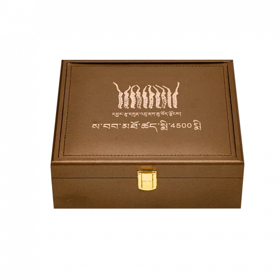 Đông Trùng Thiên Nhiên Tây Tạng Na Khúc VIP 10g Size 16