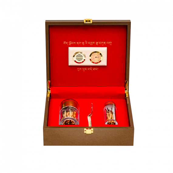 Đông Trùng Thiên Nhiên Tây Tạng Na Khúc VIP 10g Size 16