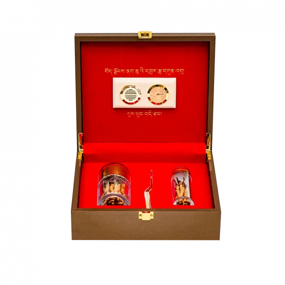 Đông Trùng Thiên Nhiên Tây Tạng Na Khúc VIP 10g Size 16