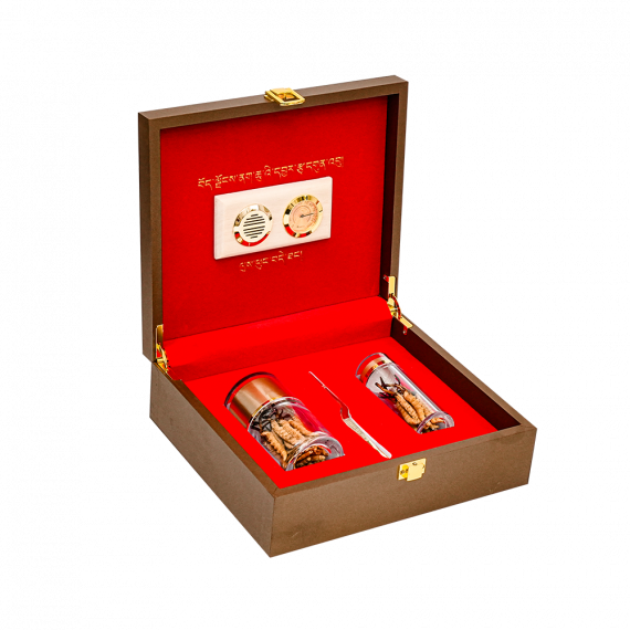 Đông Trùng Thiên Nhiên Tây Tạng Na Khúc VIP 10g Size 16