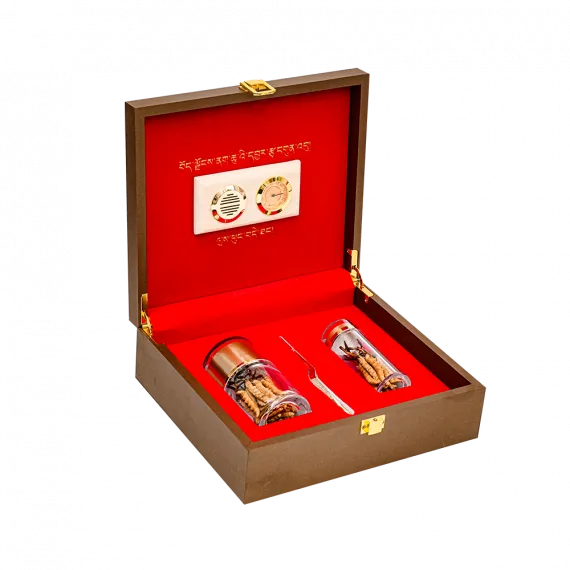 Đông Trùng Thiên Nhiên Tây Tạng Na Khúc VIP 10g Size 16