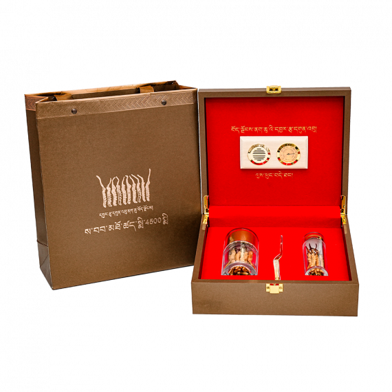 Đông Trùng Thiên Nhiên Tây Tạng Na Khúc VIP 10g Size 16