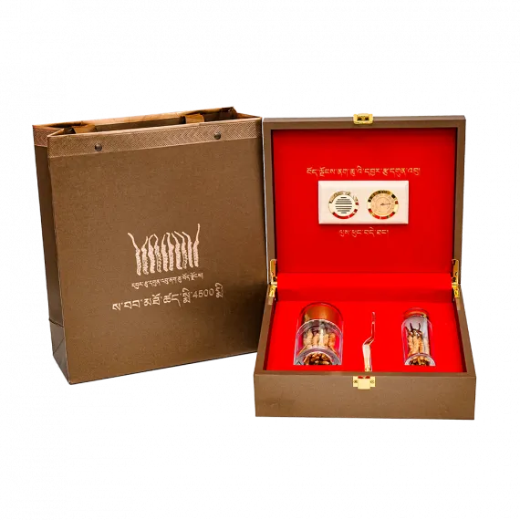 Đông Trùng Thiên Nhiên Tây Tạng Na Khúc VIP 10g Size 16