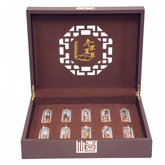 Đông Trùng Thiên Nhiên Tây Tạng Na Khúc VIP 10g Size 24