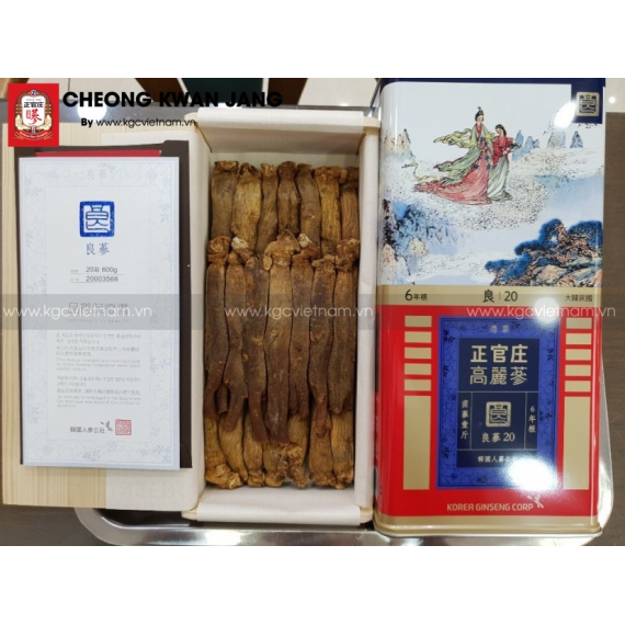 Hồng sâm củ khô KGC Hàn Quốc 600g số 20 | kgcvietnam.vn