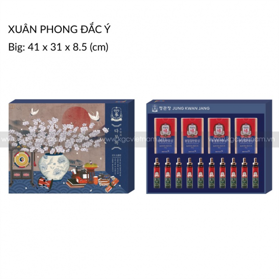 Hộp quà tặng hồng sâm cao cấp KGC Xuân Phong Đắc Ý | kgcvietnam.vn