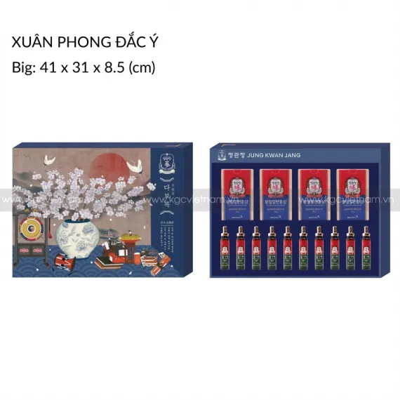 Hộp quà tặng hồng sâm cao cấp KGC Xuân Phong Đắc Ý | kgcvietnam.vn