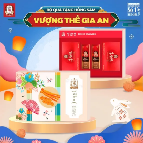 Bộ Quà Tặng Hồng Sâm KGC Cheong Kwan Jang Vượng Thể Gia An Bộ Quà Tặng Hồng Sâm KGC Cheong Kwan Jang Vượng Thể Gia An