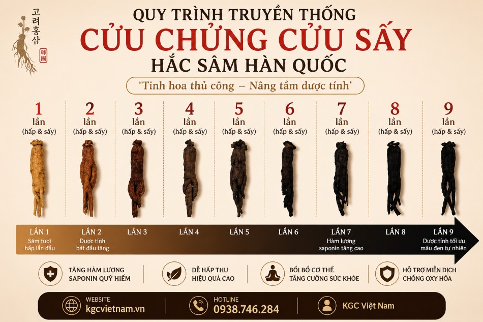 Hắc sâm trải qua quy trình cửu chưng cửu sấy với 9 lần hấp và 9 lần sấy công phu