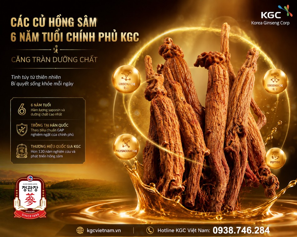 Các củ hồng sâm 6 năm tuổi chính phủ KGC căng tràn dưỡng chất